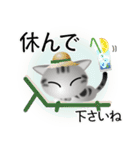 色々な猫9-1 短毛-立ち耳-サバアメショ銀（個別スタンプ：13）
