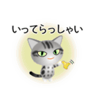 色々な猫9-1 短毛-立ち耳-サバアメショ銀（個別スタンプ：15）