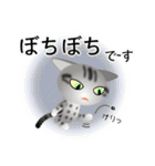 色々な猫9-1 短毛-立ち耳-サバアメショ銀（個別スタンプ：20）