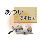 色々な猫9-1 短毛-立ち耳-サバアメショ銀（個別スタンプ：21）
