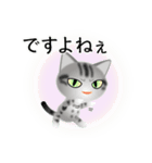 色々な猫9-1 短毛-立ち耳-サバアメショ銀（個別スタンプ：23）