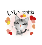 色々な猫9-1 短毛-立ち耳-サバアメショ銀（個別スタンプ：24）