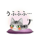 色々な猫9-1 短毛-立ち耳-サバアメショ銀（個別スタンプ：25）