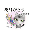色々な猫9-1 短毛-立ち耳-サバアメショ銀（個別スタンプ：31）