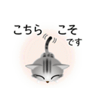 色々な猫9-1 短毛-立ち耳-サバアメショ銀（個別スタンプ：32）