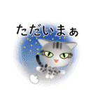 色々な猫9-1 短毛-立ち耳-サバアメショ銀（個別スタンプ：38）