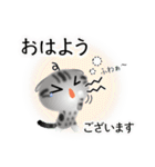 色々な猫9-2 短毛-垂れ耳-サバアメショ銀（個別スタンプ：2）