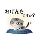 色々な猫9-2 短毛-垂れ耳-サバアメショ銀（個別スタンプ：4）