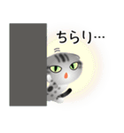 色々な猫9-2 短毛-垂れ耳-サバアメショ銀（個別スタンプ：6）