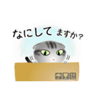 色々な猫9-2 短毛-垂れ耳-サバアメショ銀（個別スタンプ：8）