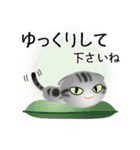 色々な猫9-2 短毛-垂れ耳-サバアメショ銀（個別スタンプ：12）