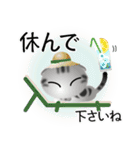 色々な猫9-2 短毛-垂れ耳-サバアメショ銀（個別スタンプ：13）