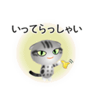 色々な猫9-2 短毛-垂れ耳-サバアメショ銀（個別スタンプ：15）