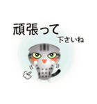 色々な猫9-2 短毛-垂れ耳-サバアメショ銀（個別スタンプ：16）