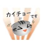 色々な猫9-2 短毛-垂れ耳-サバアメショ銀（個別スタンプ：17）