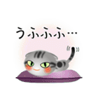 色々な猫9-2 短毛-垂れ耳-サバアメショ銀（個別スタンプ：25）
