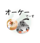 色々な猫9-2 短毛-垂れ耳-サバアメショ銀（個別スタンプ：28）