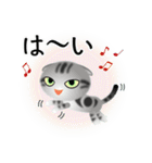 色々な猫9-2 短毛-垂れ耳-サバアメショ銀（個別スタンプ：29）