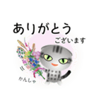 色々な猫9-2 短毛-垂れ耳-サバアメショ銀（個別スタンプ：31）