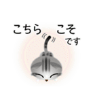 色々な猫9-2 短毛-垂れ耳-サバアメショ銀（個別スタンプ：32）