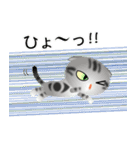 色々な猫9-2 短毛-垂れ耳-サバアメショ銀（個別スタンプ：34）