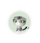 色々な猫9-2 短毛-垂れ耳-サバアメショ銀（個別スタンプ：37）