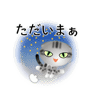 色々な猫9-2 短毛-垂れ耳-サバアメショ銀（個別スタンプ：38）