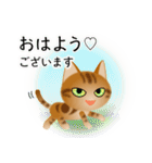 色々な猫9-3 短毛-立ち耳-茶アメショ（個別スタンプ：1）