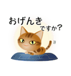 色々な猫9-3 短毛-立ち耳-茶アメショ（個別スタンプ：4）