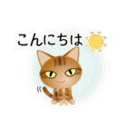 色々な猫9-3 短毛-立ち耳-茶アメショ（個別スタンプ：5）