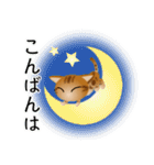 色々な猫9-3 短毛-立ち耳-茶アメショ（個別スタンプ：7）