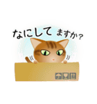 色々な猫9-3 短毛-立ち耳-茶アメショ（個別スタンプ：8）