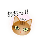色々な猫9-3 短毛-立ち耳-茶アメショ（個別スタンプ：10）