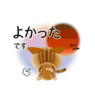 色々な猫9-3 短毛-立ち耳-茶アメショ（個別スタンプ：11）