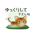 色々な猫9-3 短毛-立ち耳-茶アメショ（個別スタンプ：12）