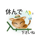色々な猫9-3 短毛-立ち耳-茶アメショ（個別スタンプ：13）