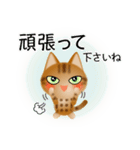 色々な猫9-3 短毛-立ち耳-茶アメショ（個別スタンプ：16）