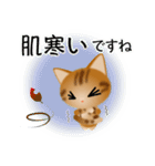 色々な猫9-3 短毛-立ち耳-茶アメショ（個別スタンプ：22）