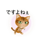 色々な猫9-3 短毛-立ち耳-茶アメショ（個別スタンプ：23）