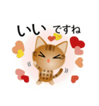 色々な猫9-3 短毛-立ち耳-茶アメショ（個別スタンプ：24）