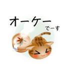 色々な猫9-3 短毛-立ち耳-茶アメショ（個別スタンプ：28）