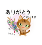 色々な猫9-3 短毛-立ち耳-茶アメショ（個別スタンプ：31）