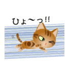 色々な猫9-3 短毛-立ち耳-茶アメショ（個別スタンプ：34）