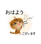 色々な猫9-4 短毛-垂れ耳-茶アメショ（個別スタンプ：2）
