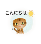色々な猫9-4 短毛-垂れ耳-茶アメショ（個別スタンプ：5）