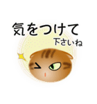 色々な猫9-4 短毛-垂れ耳-茶アメショ（個別スタンプ：14）