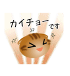 色々な猫9-4 短毛-垂れ耳-茶アメショ（個別スタンプ：17）