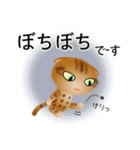 色々な猫9-4 短毛-垂れ耳-茶アメショ（個別スタンプ：20）