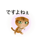 色々な猫9-4 短毛-垂れ耳-茶アメショ（個別スタンプ：23）
