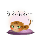 色々な猫9-4 短毛-垂れ耳-茶アメショ（個別スタンプ：25）
